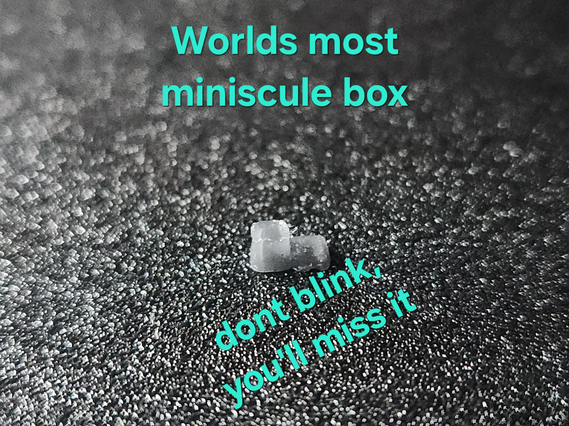 The Worlds most miniscule box and lid .4mm nozzle 