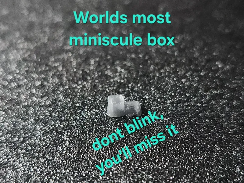 The Worlds most miniscule box and lid .4mm nozzle 