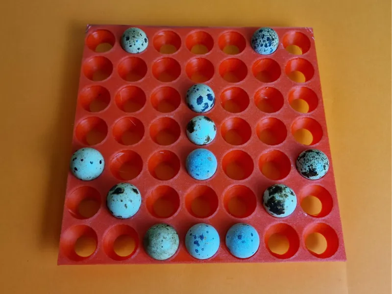 Quail egg tray (holds 49 eggs)