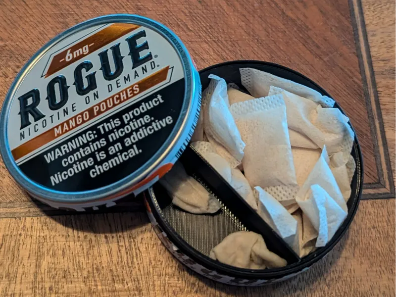 Rogue Pouch Trash Bin