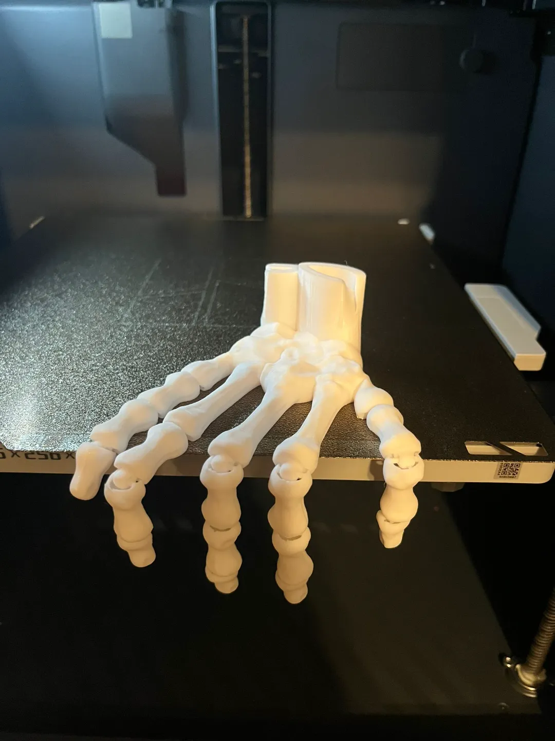 Articulated Skeleton Hand(Print in place) view 3