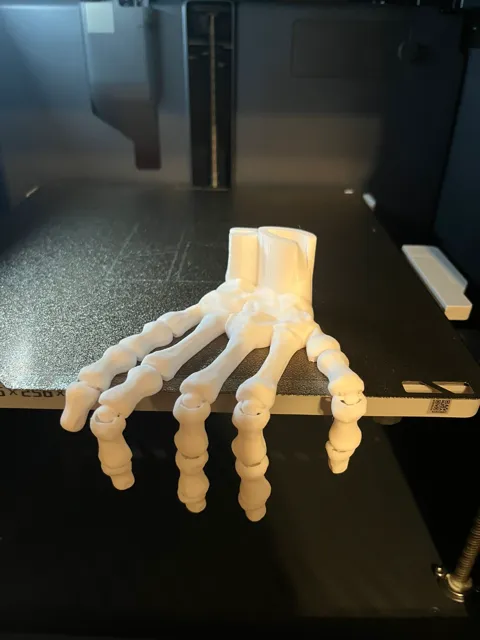 Articulated Skeleton Hand(Print in place) view 3