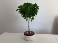 Diameter 12,5 cm/ 4.9 in - Height 7,5 cm/ 2.9 in
