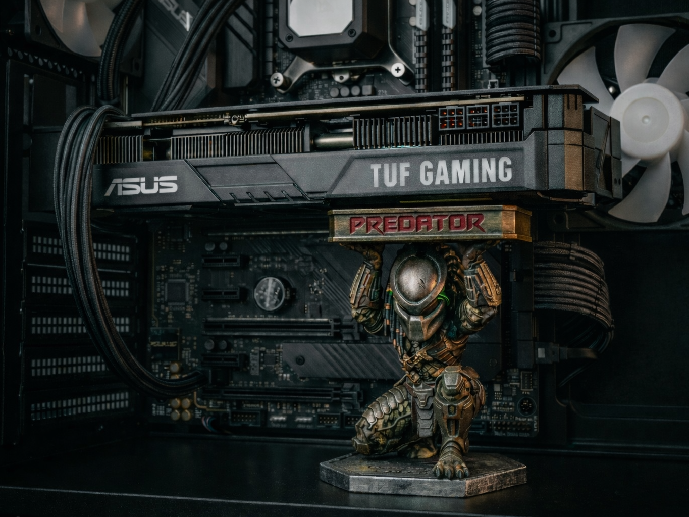 Predator GPU Support Bracket / Graphic Card
