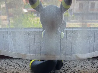 Umbreon Pokemon Decorazione Finestra che sbircia