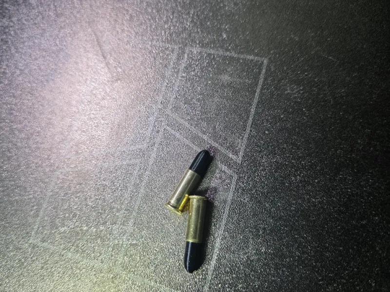 22lr snap cap inserts