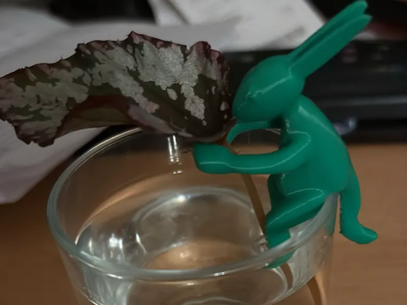 Plant cutting holder