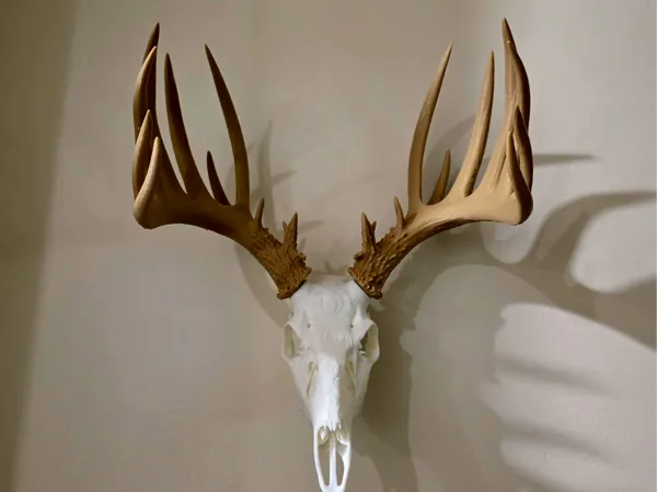 https://makerworld.bblmw.com/makerworld/model/US756eb4552416aa/design/e27253b4333f8f66.jpg