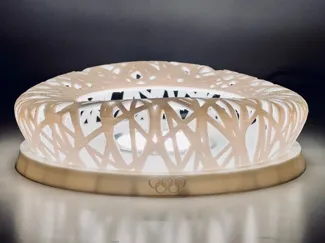 鸟巢(Bird's Nest)