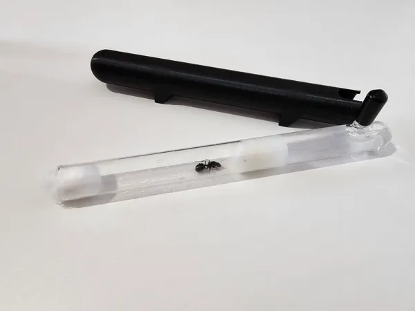 https://makerworld.bblmw.com/makerworld/model/US7576ae5098858a/design/2023-09-15_c113173a2a2d1.jpg