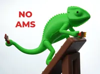 no ams