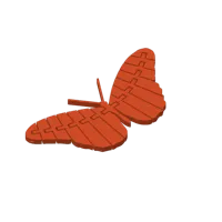 Papillon aux ailes mobiles — photo 3