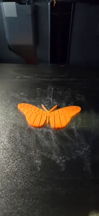 Papillon aux ailes mobiles — photo 1