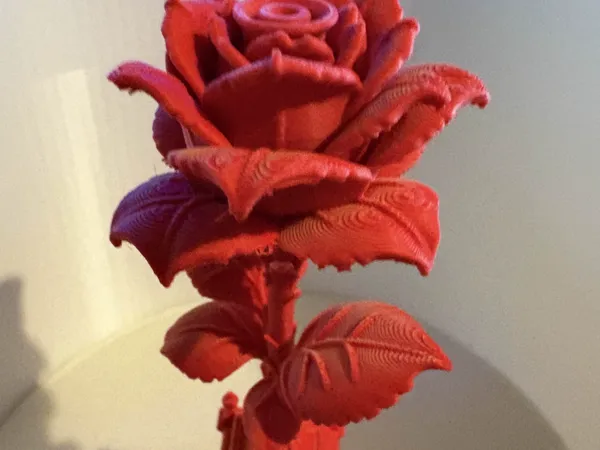 https://makerworld.bblmw.com/makerworld/model/US75805bd0f2e700/design/2025-08-24_9a0abf7eca001.jpg