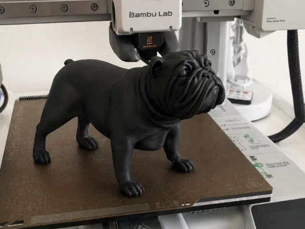 https://makerworld.bblmw.com/makerworld/model/US75815360af72c5/design/ffd6888a8d9616c0.jpg
