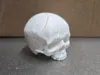0.2mm layer, 2 walls, 5% infill
