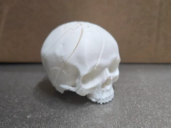 Crâne fidget effet slime