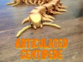 Cute Articulated Centipede