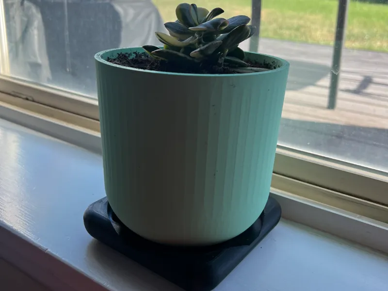 SproutNest