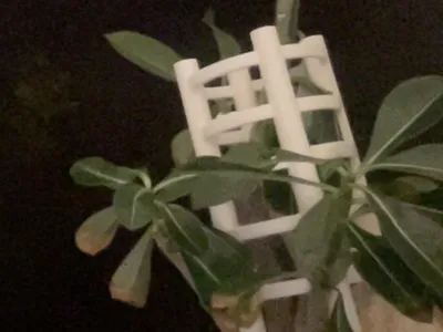 Small Plant Support Spiral