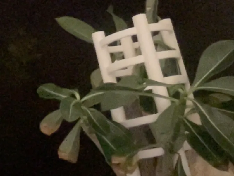 Small Plant Support Spiral