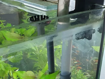 Skimmer and adapter tubing for aquariums