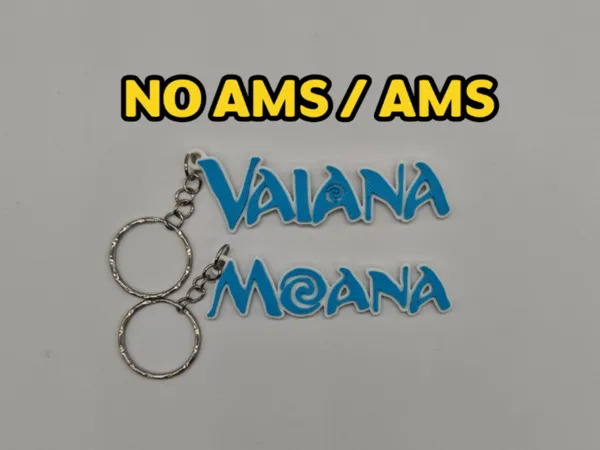 https://makerworld.bblmw.com/makerworld/model/US75a06cc710510b/design/2026-01-11_ae13a6db72b47.png