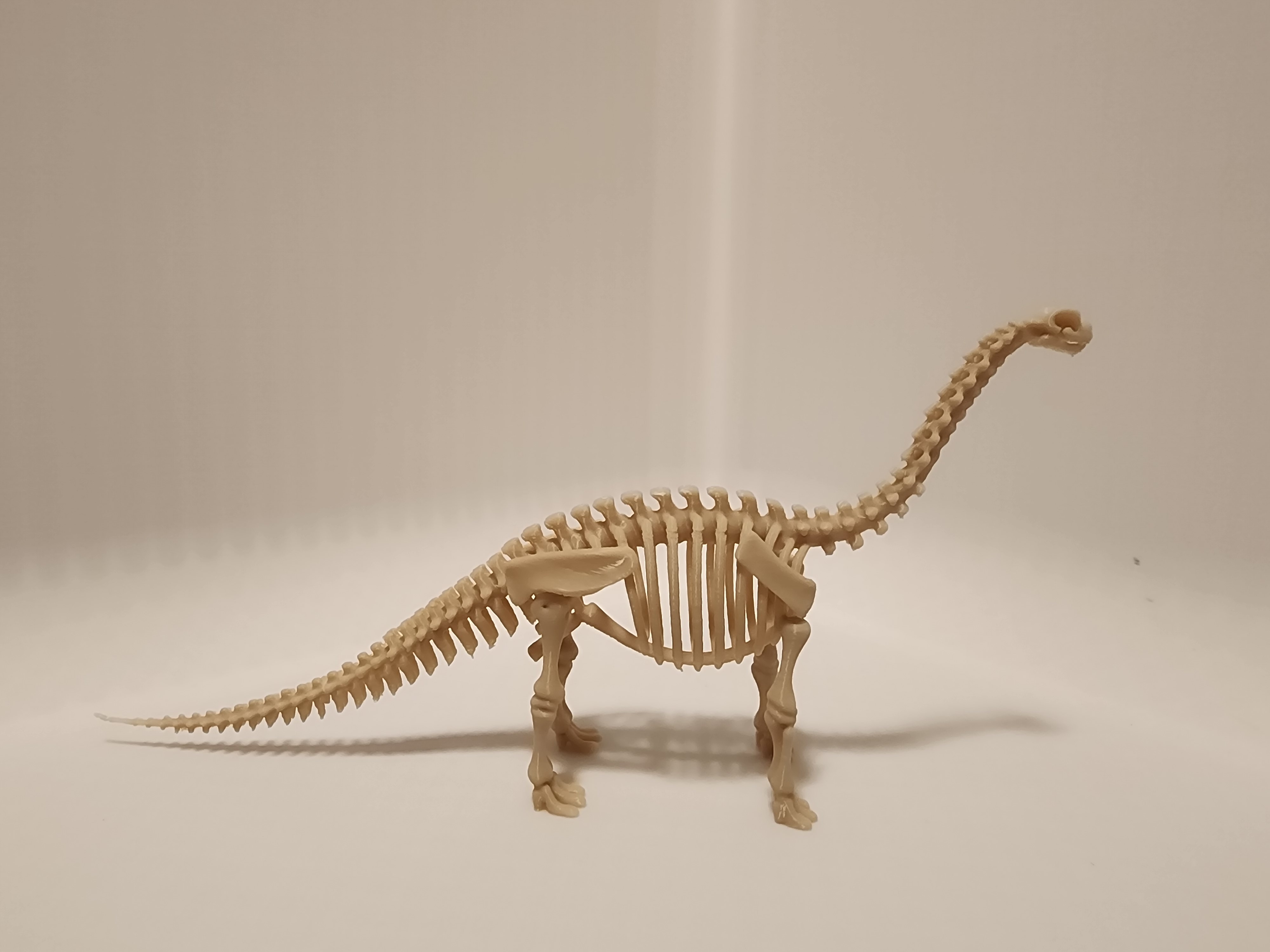 Miniatura 2 do modelo 3D Brontosaurus