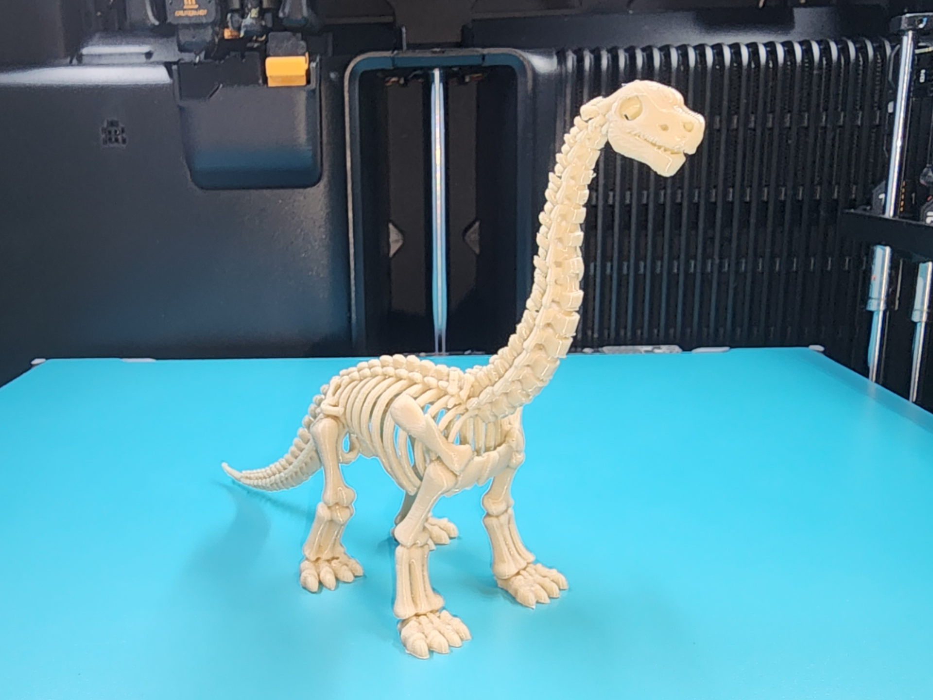 Brontosaurus