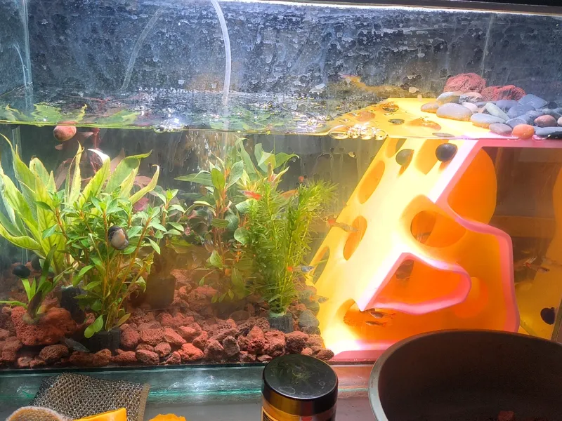 鱼缸龟缸躲避屋
