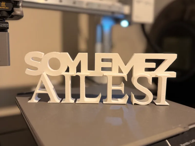 SOYLEMEZ AILESI