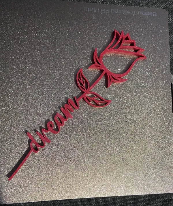 https://makerworld.bblmw.com/makerworld/model/US75a6be4d687eba/design/2024-12-14_5d6bdca135902.jpeg