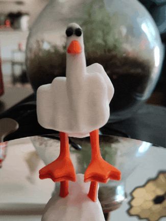 Secret Message Duck / Gag Gift Duck
