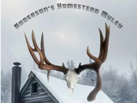 Anerson's Homestead Muley (50% Scale) H2C