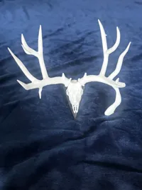 Anderson's Homestead Muley (20% Scale) X1C