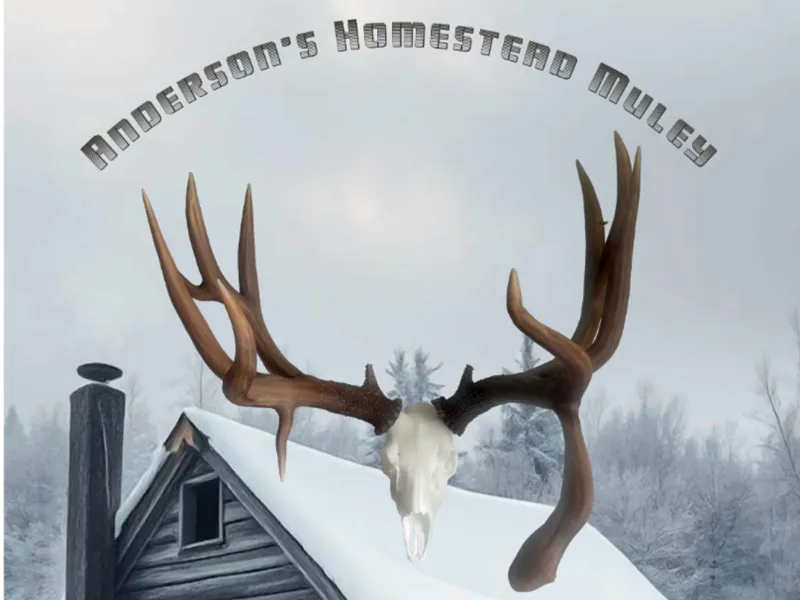 Anderson's Homestead Muley Euro Skull Mount