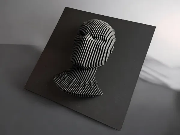 https://makerworld.bblmw.com/makerworld/model/US75bc82735ee8e5/design/2025-02-15_fa33ebb866e578.jpg