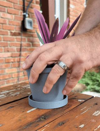 Hidden Key Planter