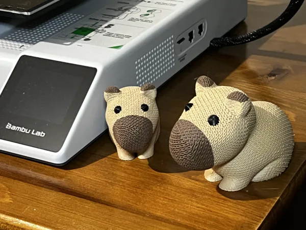 https://makerworld.bblmw.com/makerworld/model/US75c38fb47699ce/design/2025-01-05_9610670e004e5.jpg