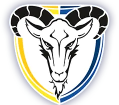 Motor Lublin speedway logo