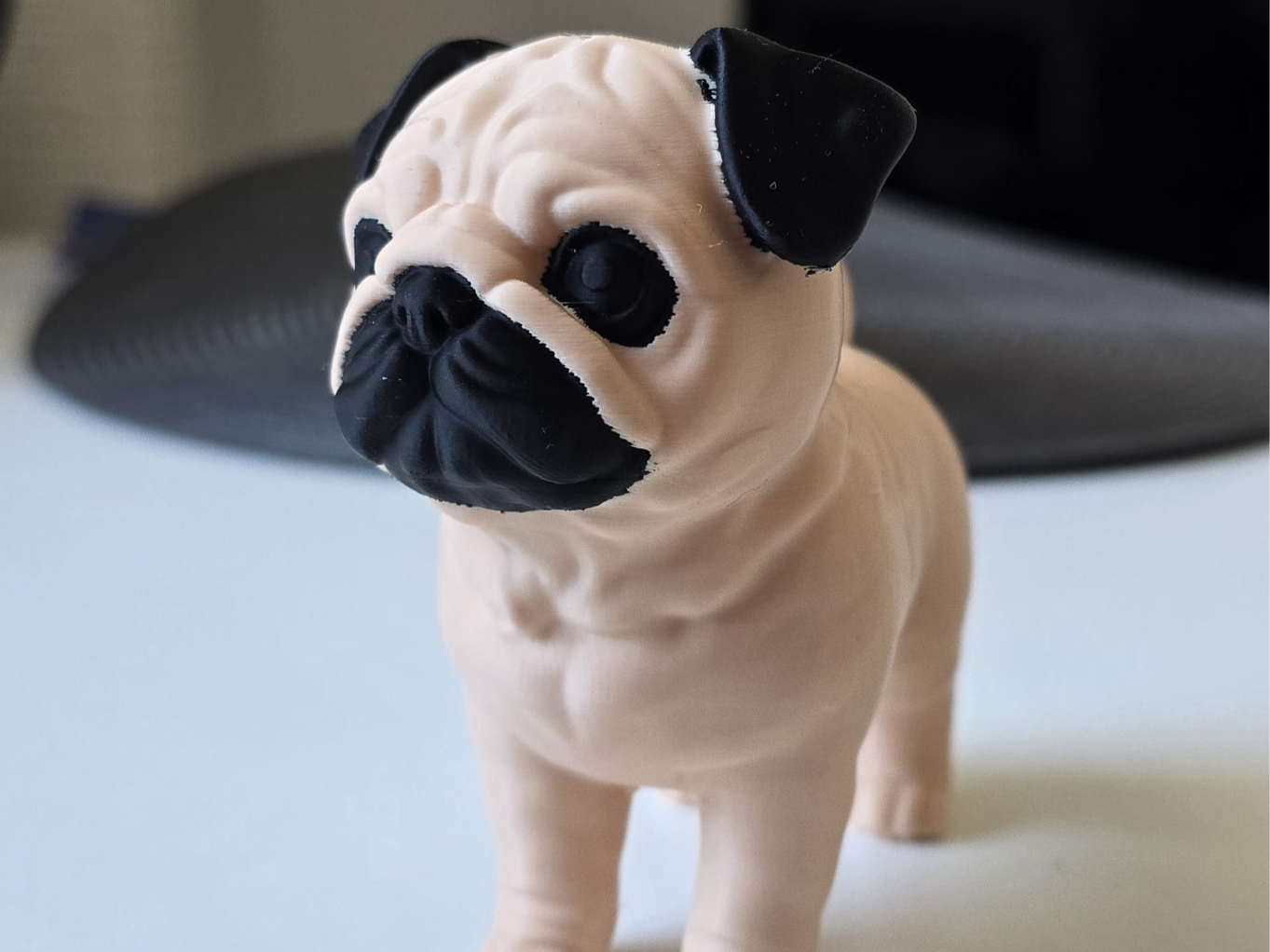 Cute high quality Pug multicolor