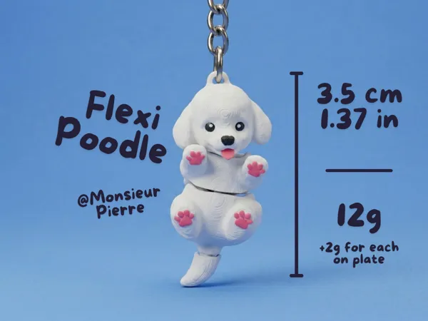 https://makerworld.bblmw.com/makerworld/model/US75cad38f4bc5c6/design/0cce97e0e6453efa.png