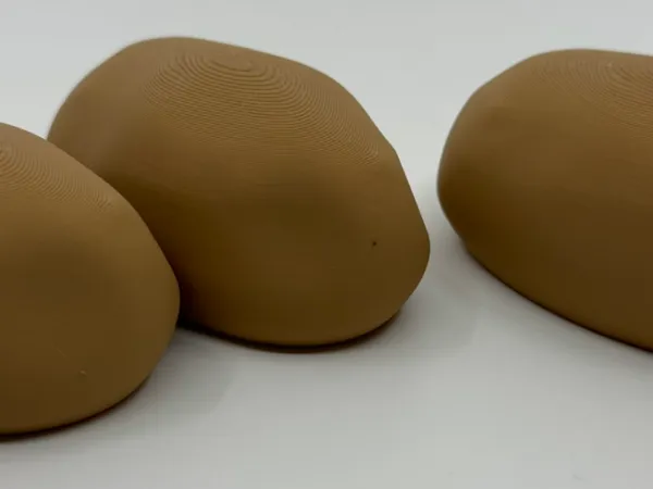 https://makerworld.bblmw.com/makerworld/model/US75cd4be0d2fc2d/design/2024-05-24_dd5005652f13e.jpeg
