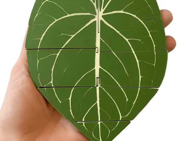 https://makerworld.bblmw.com/makerworld/model/US75cfab0cb1bc9d/design/2025-05-04_5c32aa67de8c98.png