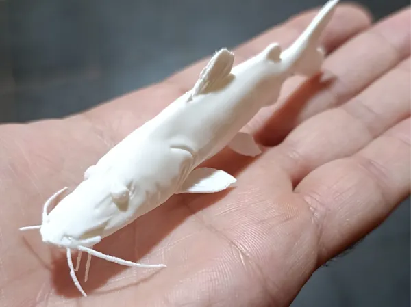 Figurine poisson-chat Surubí