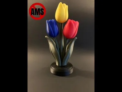 Tulip Flower Display 3