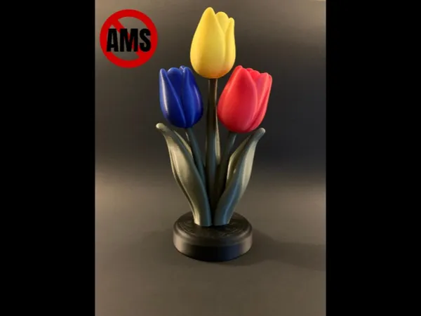 https://makerworld.bblmw.com/makerworld/model/US75d5b3377fe258/design/e9d15fff88de652f.png