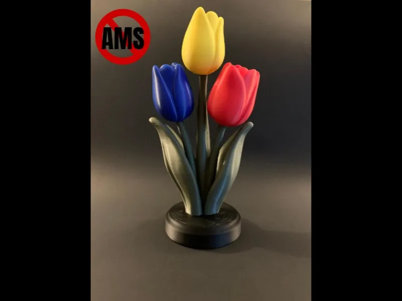 Tulip Flower Display 3