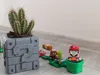 Mario_Cube_for_Flowers