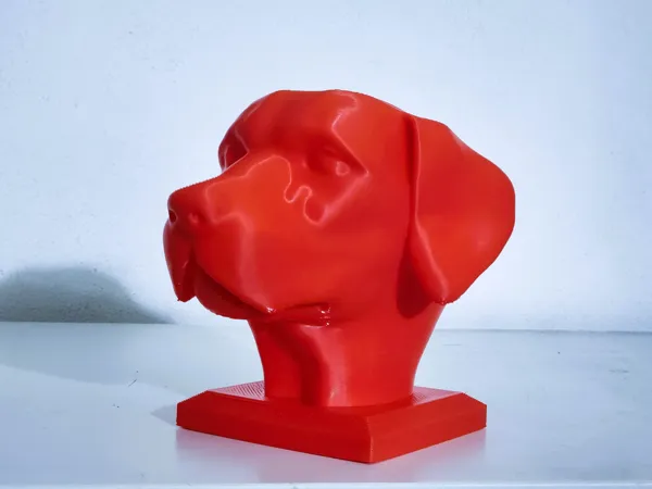 https://makerworld.bblmw.com/makerworld/model/US75d923de52018/design/2025-01-20_38e74e47229ba8.jpg
